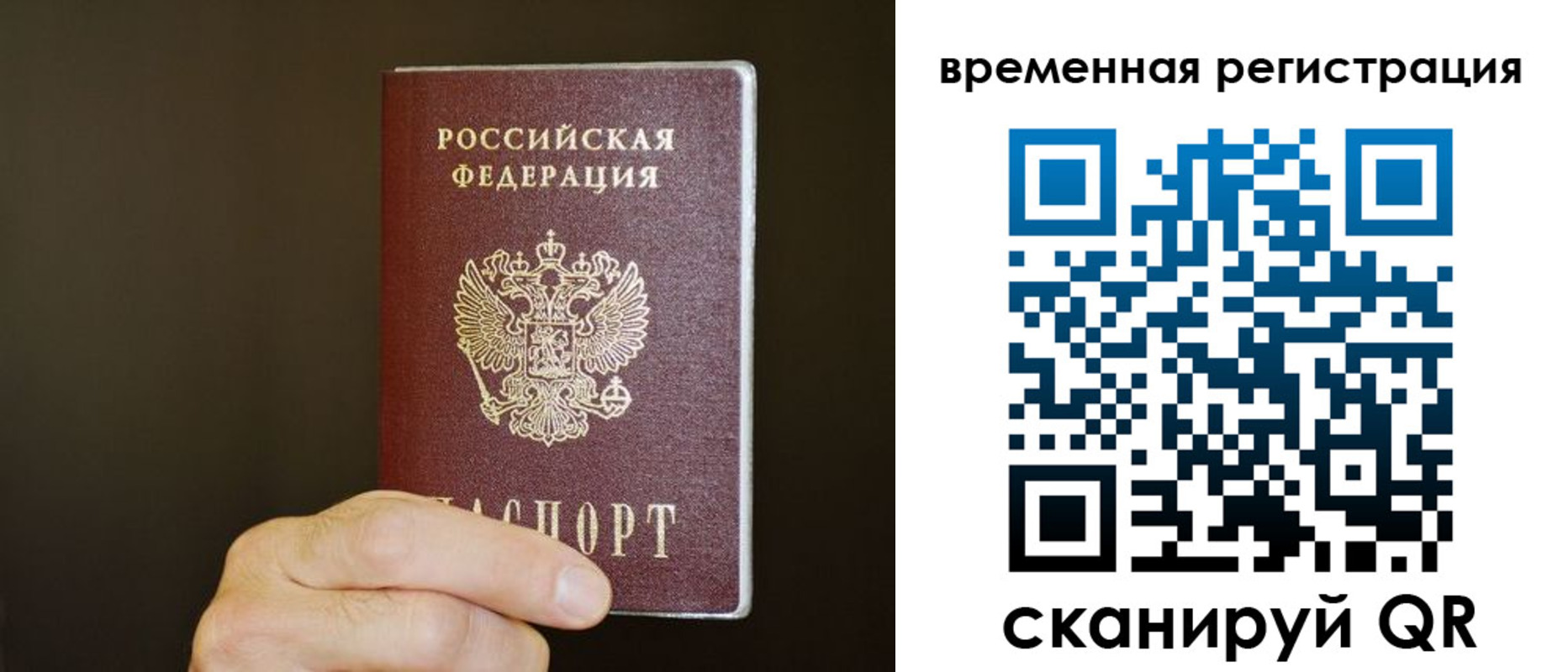 прописка гарантия в Торопеце